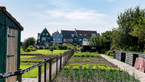 Volkstuin aan de Oostzai te huur